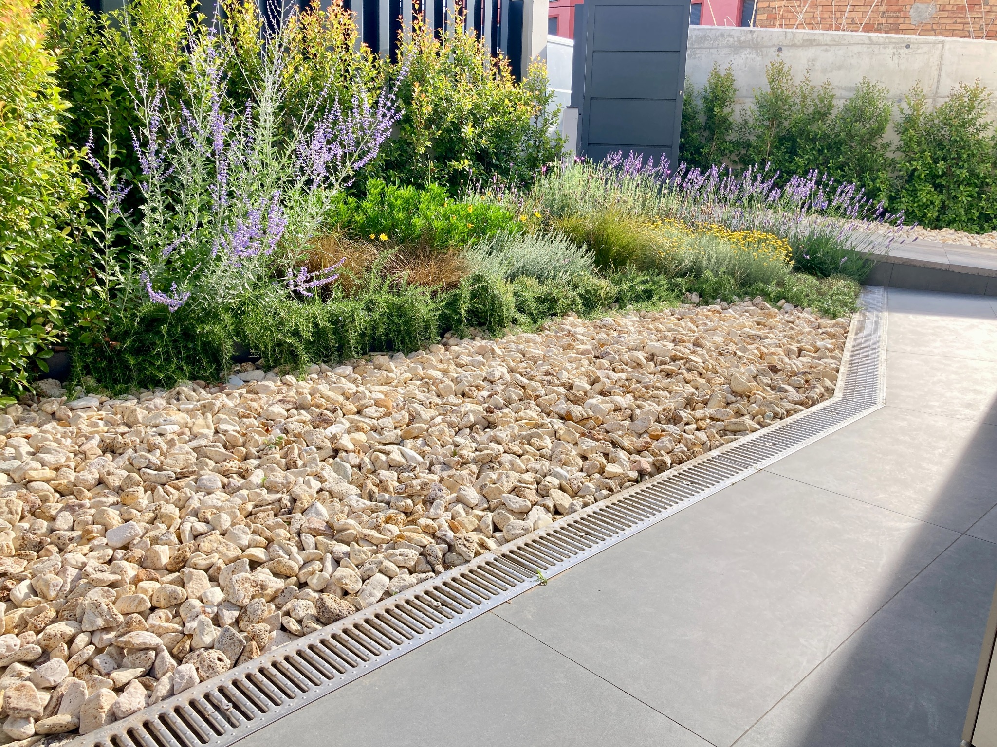 siliqua-jardi-castellbisbal-08